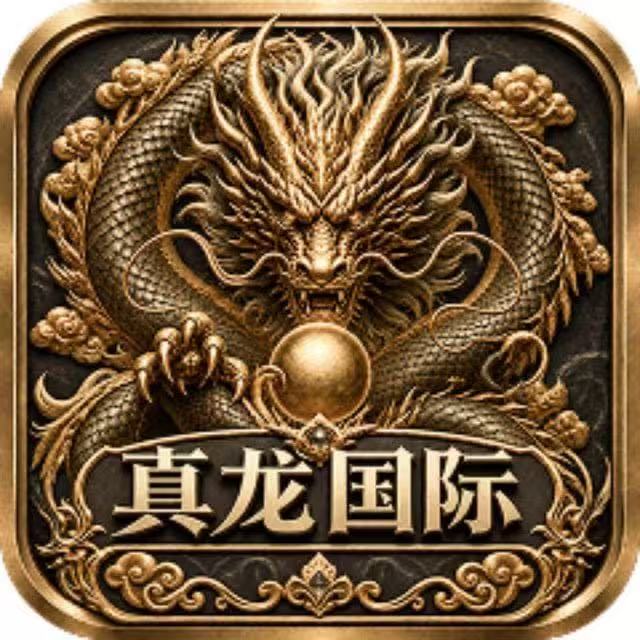 真龙国际