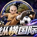 纵横国际